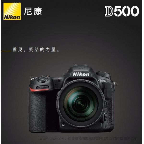 Nikon D500尼康宣傳彩頁 海報 宣傳冊 經銷商宣傳畫冊 展會宣傳圖 